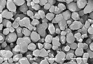 Particle size:400nm