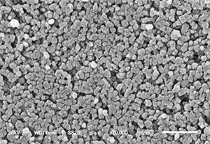 Particle size:100nm
