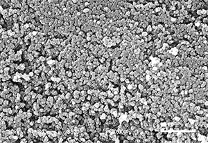 Particle size:50nm